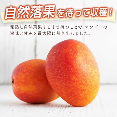 「宮崎自慢の特産品」宮崎県産完熟マンゴー　3L×2個(宮崎市)