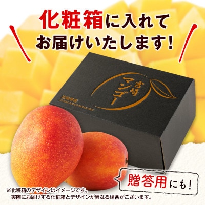 「宮崎自慢の特産品」宮崎県産完熟マンゴー　3L×2個(宮崎市)