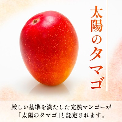 「宮崎自慢の特産品」宮崎県産完熟マンゴー 太陽のタマゴ　3L×2玉(宮崎市)