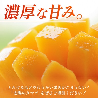 「宮崎自慢の特産品」宮崎県産完熟マンゴー 太陽のタマゴ　3L×2玉(宮崎市)