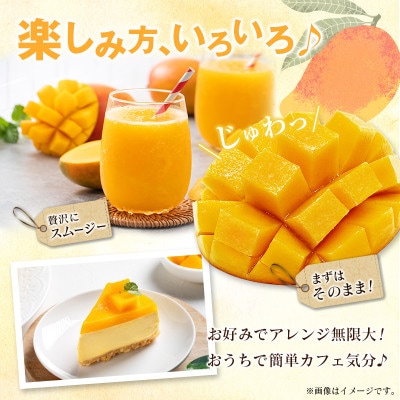 「宮崎自慢の特産品」宮崎県産完熟マンゴー 太陽のタマゴ　3L×2玉(宮崎市)