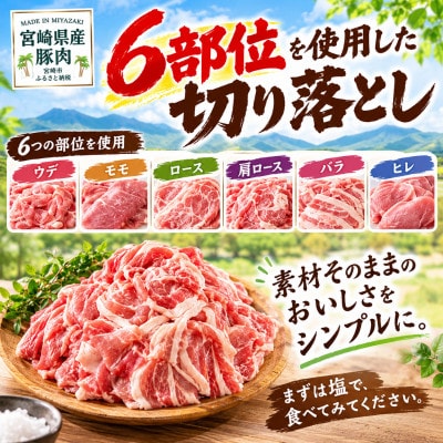 宮崎県産 豚肉切り落とし 4.5kg