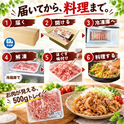 宮崎県産 豚肉切り落とし 4.5kg