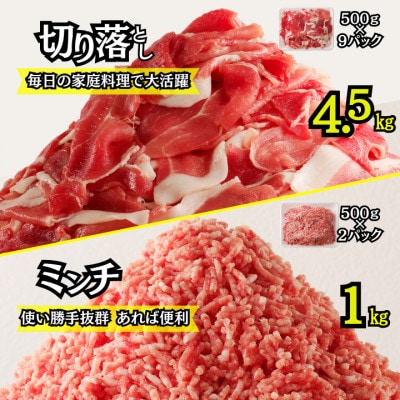 宮崎県産豚肉　切り落とし&ミンチセット　5.5kg