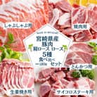 宮崎県産豚肉 肩ロース・ロース 5種食べ比べセット 小分け300gパック 合計1.5kg