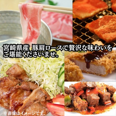 宮崎県産豚肉 肩ロース・ロース 5種食べ比べセット 小分け300gパック 合計1.5kg