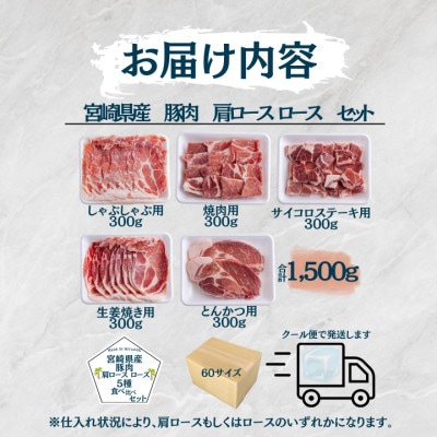 宮崎県産豚肉 肩ロース・ロース 5種食べ比べセット 小分け300gパック 合計1.5kg