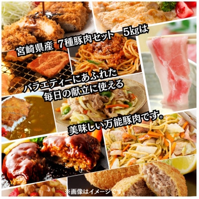 宮崎県産　7種豚肉セット　12パック　合計5kg