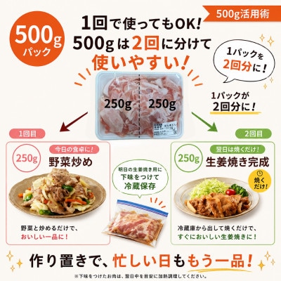 宮崎県産豚肉【スペアリブ1.5kg入り】合計4.5kgセット(切り落とし・ミンチ)