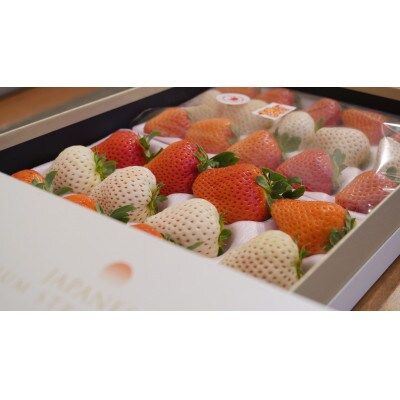 HOKUSAIGIFT宮崎完熟苺おおきみ+天使の苺紅白GIFT