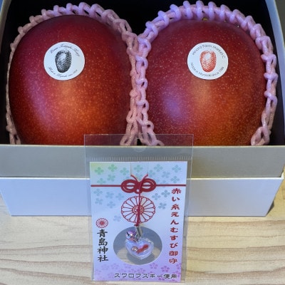 宮崎パイオニアマンゴー2L×2+縁結び(HOKUSAIGIFT)