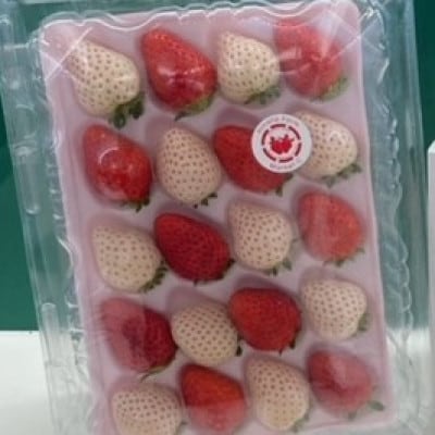 宮崎完熟紅白ファミリーパックプレミアム