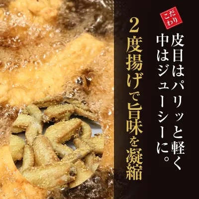 【ふるさと納税】宮崎やきとり「恵屋」手羽唐揚げ 6パック(30本セット)