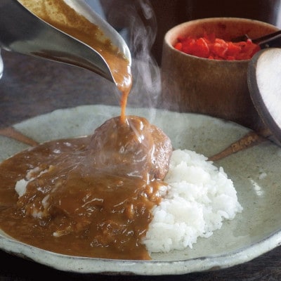 宮崎老舗カレー詰合せ6食セット