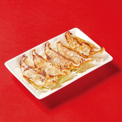 宮崎の人気ラーメン店悠瑠里の作る特製餃子120個(12個×10パック)