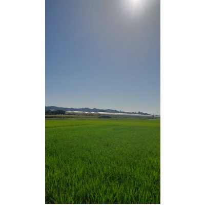 令和5年産 ミルキークイーン“mainichi” (白米)10kg(5kg×2袋) 宮崎県産