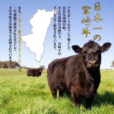 【2024年3月中旬発送】宮崎牛肩ロースしゃぶすき用500g