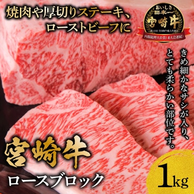 宮崎牛ロースブロック約1kg