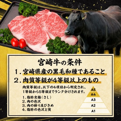 宮崎牛ロースブロック約1kg