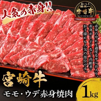 宮崎牛モモ・ウデ赤身焼肉1kg
