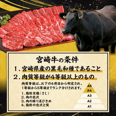 宮崎牛モモ・ウデ赤身焼肉1kg