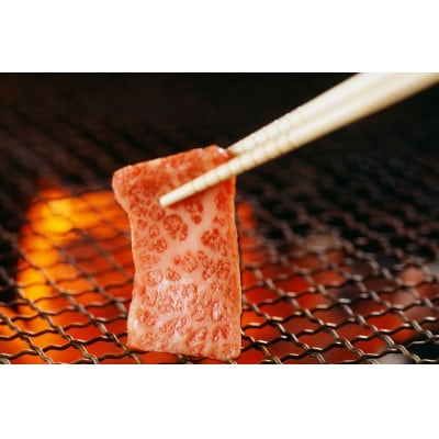 【2024年9月中旬発送】宮崎牛モモ・ウデ赤身焼肉1kg