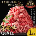 宮崎牛切り落とし1kg(バラ ウデ モモ ネック)[500g×2パック]( 小分け)