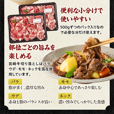 宮崎牛切り落とし1kg(バラ ウデ モモ ネック)[500g×2パック]( 小分け)