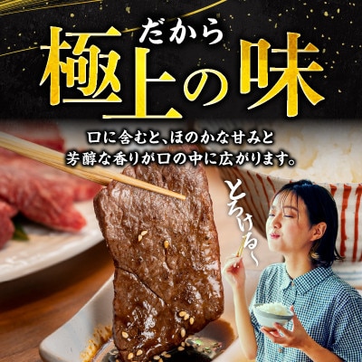 宮崎牛モモ・ウデ赤身焼肉500g