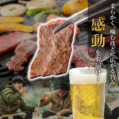宮崎牛モモ・ウデ赤身焼肉1.5kg