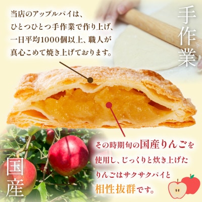 宮崎発　アップルパイ　10個入り×1箱