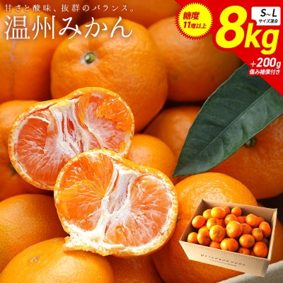 温州みかん8kg 傷み補償200g付き(宮崎市)
