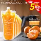 まる搾りみかんジュース 500ml×12本(宮崎市)
