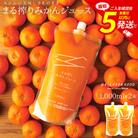 まる搾りみかんジュース 1000ml×2本(宮崎市)
