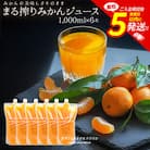 まる搾りみかんジュース 1000ml×6本(宮崎市)