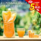まる搾りみかんジュース バラエティセット(小)(宮崎市)