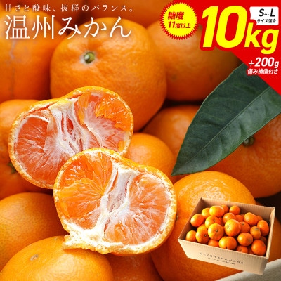 温州みかん10kg 傷み補償200g付き(宮崎市)