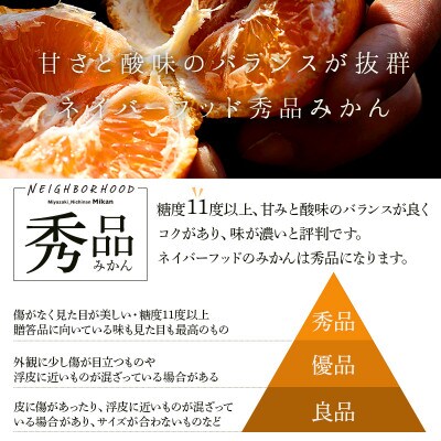 温州みかん10kg 傷み補償200g付き(宮崎市)