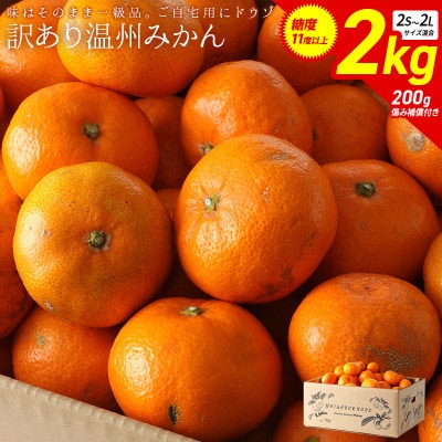 [訳あり] 温州みかん2kg 傷み補償200g付き(宮崎市)