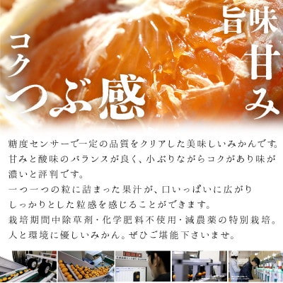 [訳あり] 温州みかん2kg 傷み補償200g付き(宮崎市)
