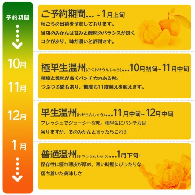 [訳あり] 温州みかん2kg 傷み補償200g付き(宮崎市)