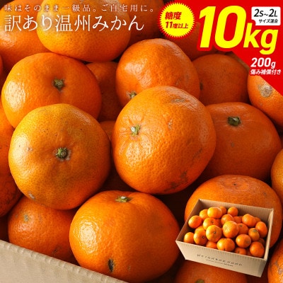 [訳あり] 温州みかん10kg 傷み補償200g付き(宮崎市)
