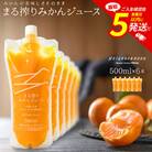 まる搾りみかんジュース 500ml×6本(宮崎市)