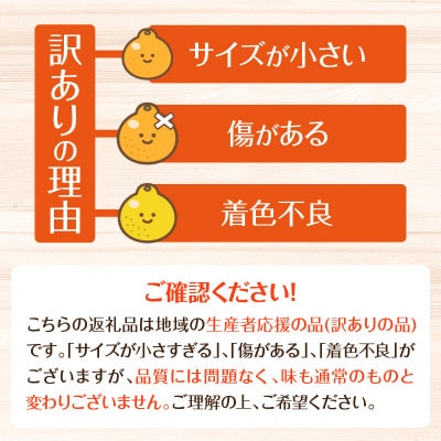 [訳あり]不知火4kg 傷み補償200g付き(宮崎市)