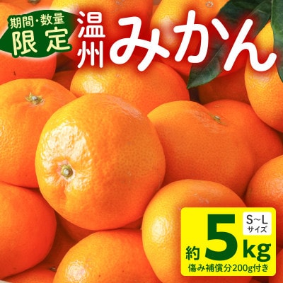 温州みかん約5kg 傷み補償200g付き(宮崎市)