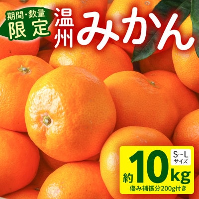 温州みかん約10kg 傷み補償200g付き(宮崎市)