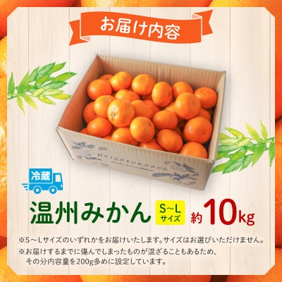 温州みかん約10kg 傷み補償200g付き(宮崎市)