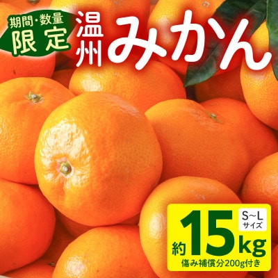 温州みかん約15kg 傷み補償200g付き(宮崎市)