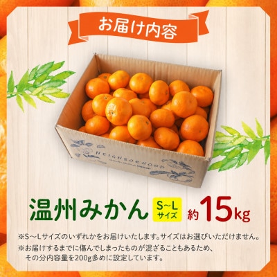 温州みかん約15kg 傷み補償200g付き(宮崎市)