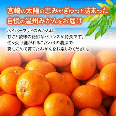 温州みかん約15kg 傷み補償200g付き(宮崎市)